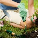 Comment entretenir votre jardin naturellement