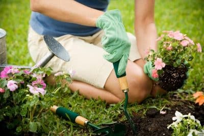 Comment entretenir votre jardin naturellement