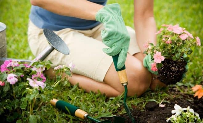 Comment entretenir votre jardin naturellement