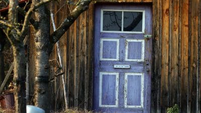 Abri de jardin : faut-il opter pour un modèle en bois ou en métal ?