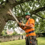 Élagueur professionnel en hauteur dans un arbre avec une tronçonneuse lors d'une intervention d'élagage résidentiel