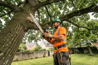Élagueur professionnel en hauteur dans un arbre avec une tronçonneuse lors d'une intervention d'élagage résidentiel