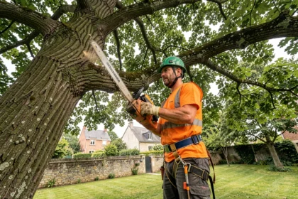 Élagueur professionnel en hauteur dans un arbre avec une tronçonneuse lors d'une intervention d'élagage résidentiel