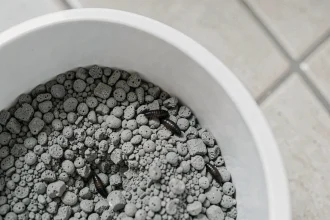 Pupe de mouche visible dans la litière grise d'un bac à chat en plastique blanc, vue de dessus en macro